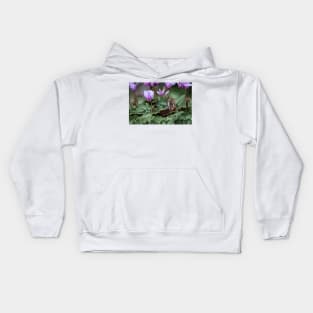 Cyclamen hederifolium (ivy-leaved cyclamen) Kids Hoodie